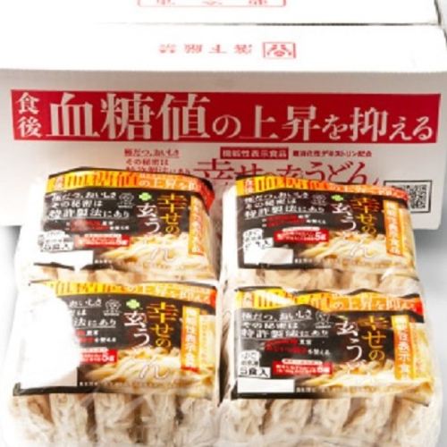 機能性 玄うどん【5食入り×4P】 099H016