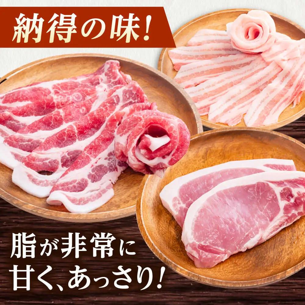 豚肉 うつみ潮風豚 精肉おまかせ4パックセット（1P/180g-280g）[BABT002] 豚肉