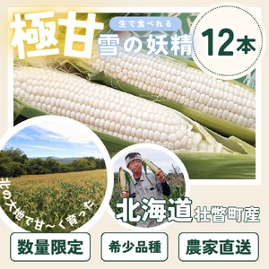＜2024年9月中旬よりお届け＞【朝採り】北海道壮瞥産 白いとうもろこし「雪の妖精」Lサイズ12本(約4kg)【 ふるさと納税 人気 おすすめ ランキング ホワイトコーン 雪の妖精 白い 白 トウモロ
