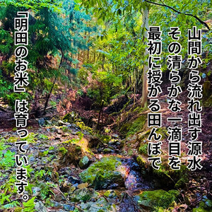 令和7年産新米 キヌヒカリ 5kg (玄米) 明田のお米