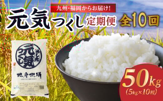 九州・福岡からお届け！ブランド米「元気つくし」定期便【全10回】 お米 米 コメ 白米 特A 直送 お弁当 おにぎり 炊きたて ツヤ 粘り もちもち 弾力 卵かけご飯 福岡県 八女市
