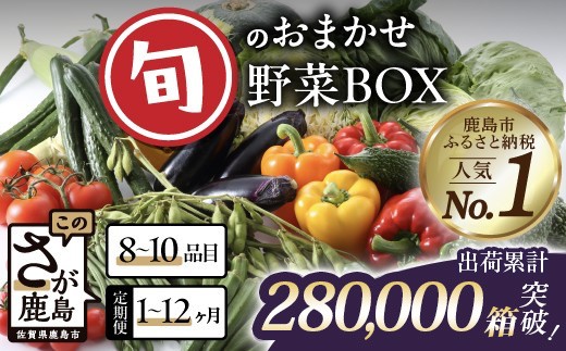 
                  累計28万箱 定期便 野菜 選べる 1回 〜 12回 野菜定期便 旬のおまかせ野菜BOX (8～10品目) | 定期便 野菜 定期便 12回 6回 3回 1回 野菜詰め合わせ 野菜セット 果物 旬 定番野菜 人気 ランキング 定期便 じゃがいも レンコン キャベツ 玉ねぎ きのこ アスパラガス やさい ヤサイ 九州 佐賀県 鹿島市 H-13
                