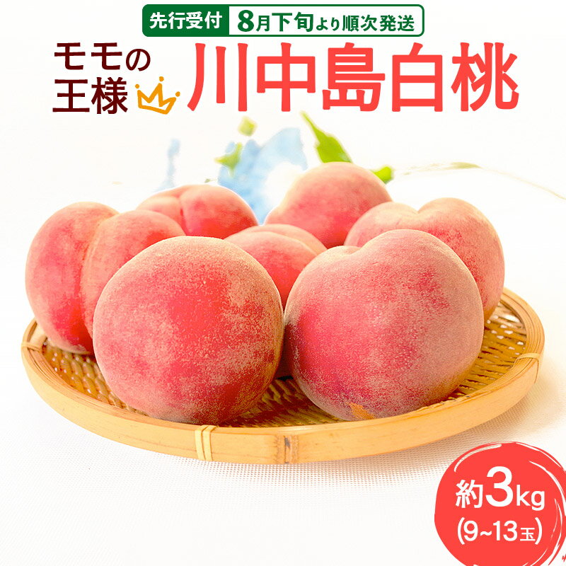 【ふるさと納税】《先行受付！8月下旬より順次発送》モモの王様 川中島白桃 約3kg（9〜13玉前後）