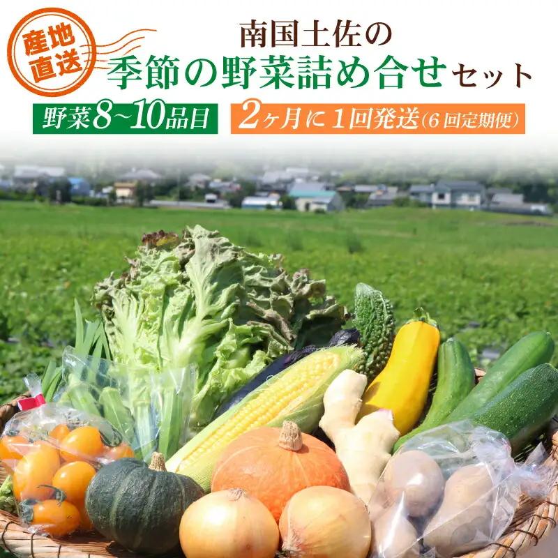 【2ヶ月に1回お届け 全6回コース】南国土佐の季節の野菜詰め合せセット | 旬の野菜詰め合わせ