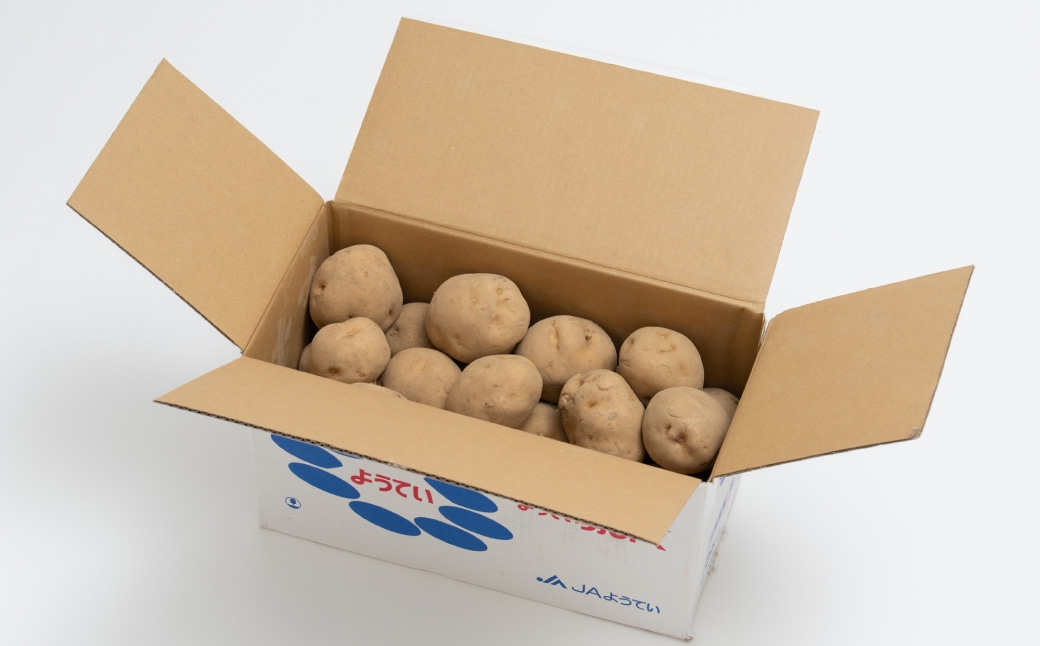 じゃがいも男爵Lサイズ約5kg1箱JA