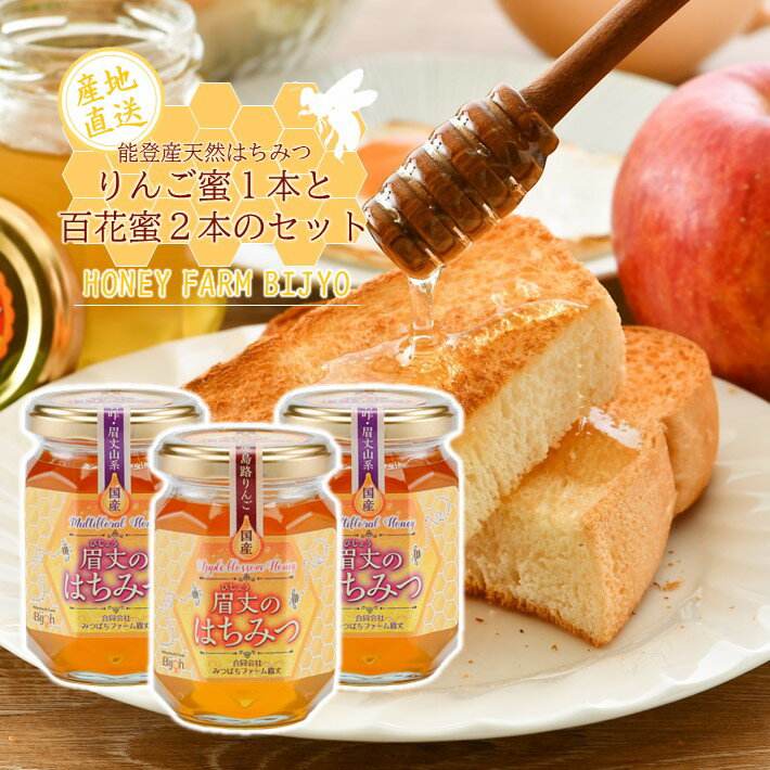 【ふるさと納税】 天然 国産 蜂蜜 175g 3本 りんご 百花 非加熱 農家 熟成 手作業 はちみつ 無加糖 無調整 優しい 甘さ コク 貴重 国産はちみつ ハチミツ ハニー honey りんご蜜 百花蜜 こだわり 純粋蜂蜜 純粋はちみつ 天然蜂蜜 石川 能登 羽咋 災害 復興 支援 復興支援