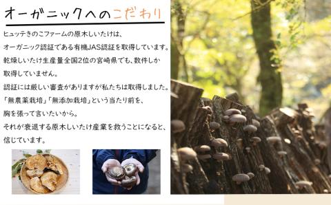 宮崎県産 乾燥 椎茸 40g×1袋 チャック袋入 [ HUTTE 宮崎県 美郷町 31ao0011] 干ししいたけ 出汁 オーガニック 原木栽培 有機JAS認証 料理 調理 小分け 常温 渡川 アヒー