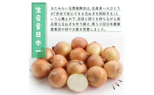 ☆L玉隔月定期便(10月・12月・2月)☆JAきたみらいから直送する新鮮玉ねぎ 10kg(L玉)×3回 ( 野菜 定期便 玉葱 たまねぎ 期間限定 )【999-0147】