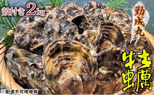
[№5258-0794]勤成丸の牡蠣 殻付き牡蠣 2.0kg
