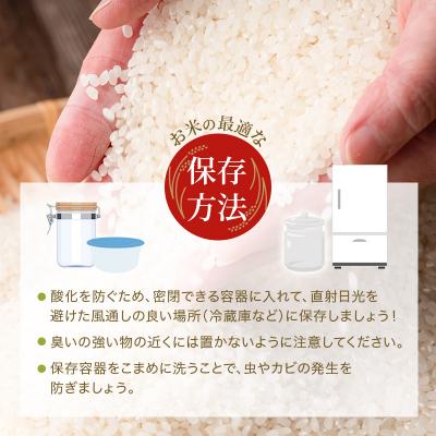 ふるさと納税 加西市 【令和8年産 先行受付】しきゆたか 白米 20kg《2026年12月発送》[No5698-2554] |  | 03