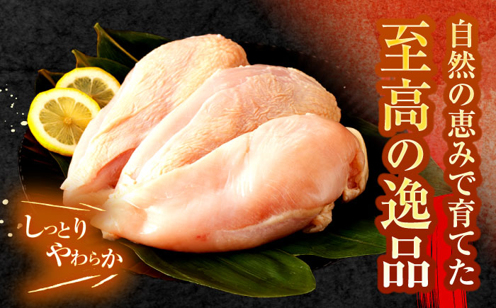 【長崎県産】夢みどり鶏肉むね肉8kg（1kg×8）　/　鶏むね　鶏ムネ　ムネ　むね　ムネ肉　/　諫早市　/　西日本フード株式会社 [AHAV012]