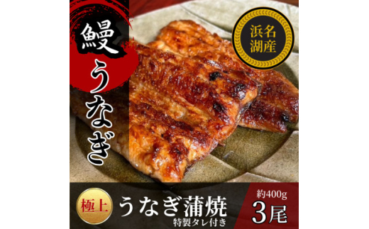 浜名湖産うなぎの蒲焼き　1尾あたり120～140g×3パック【1588395】
