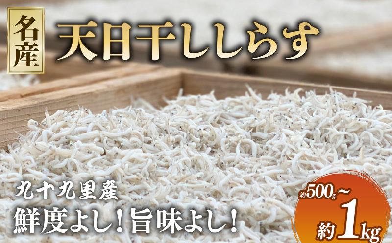 
            天日干し しらす 約 500g（250g×2P）‐約 1kg (250gx4P) しらす シラス 天日干ししらす しらす丼 シラス丼 海の幸 小分け 手釜製法 魚介 小魚 魚 鮮魚 海鮮 加工品 1kg 人気 おすすめ  千葉県旭市産 冷凍 贈答 ギフト プレゼント 記念日 お祝い 送料無料 ふるさと納税 飯岡ヤマイチ水産-大納屋- メディア 千葉県 旭市 iys
          