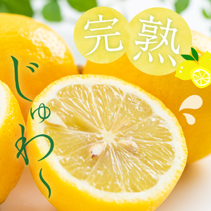 上神農園 の 広島県産 レモン 約2.5kg