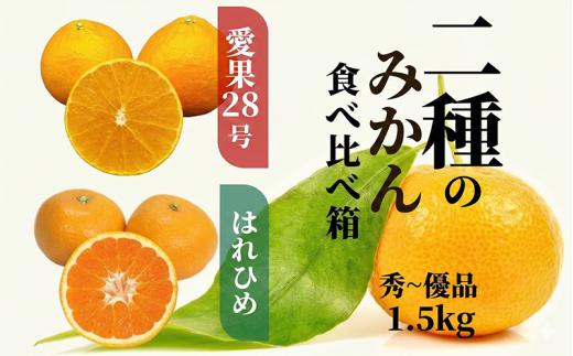 【2026年12月頃から順次発送】二種のみかん食べ比べ箱 【愛果 28 号・はれひめ】 約 1.5kg 秀~優品 みかん 先行予約 蜜柑 柑橘 果物 くだもの フルーツ お取り寄せ グルメ 期間限定 数量限定 人気 おすすめ 愛媛県 松山市