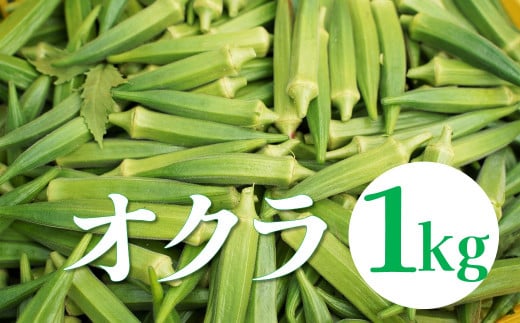 【2025年発送】太陽をたっぷり浴びて育った　オクラ１kg　H139-021