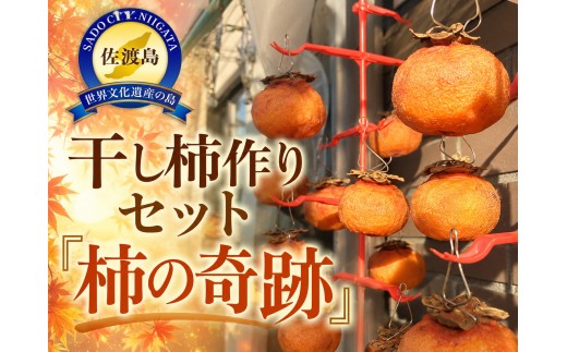 【先行予約 佐渡産 おけさ柿 干し柿作りセット】おけさ柿  干し柿作り 柿の奇跡| 新潟県産柿 佐渡産柿 佐渡島産かき  柿 かき カキ フルーツ 果物 くだもの デザート おやつ  南佐渡 にいがた さど 新潟県 佐渡市