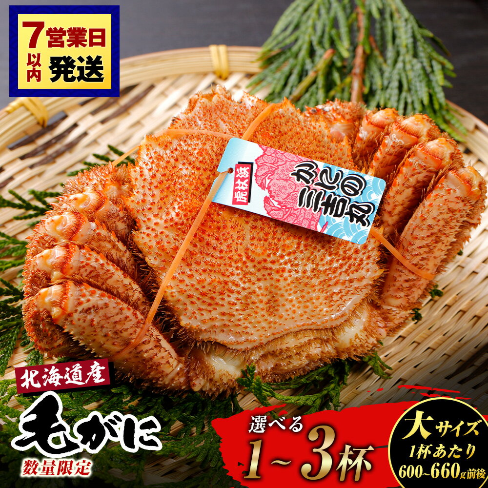【ふるさと納税】【大サイズ】北海道産 冷凍ボイル毛ガニ 選べる1尾〜3尾 (1尾600g-660g前後) 選べる発送月毛がに 毛ガニ 毛蟹 蟹 カニ 北海道ふるさと納税 白老 ふるさと納税 北海道 年末