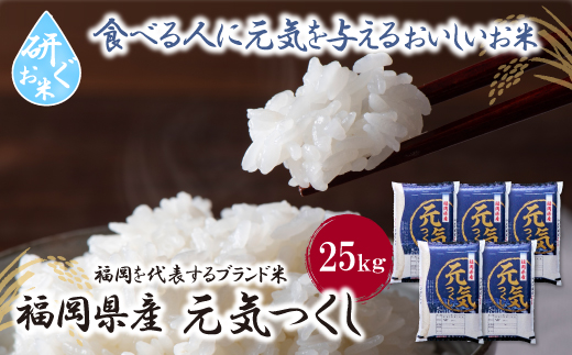 研ぐお米 元気つくし25kg 米 コメ 25kg 箱入り 5kg×5 福岡 25キロ 元気つくし 元気づくし 手軽 リピート 日時指定 ギフト お中元 お歳暮 コスパ 福岡県限定銘柄 人気上昇中 研ぐお米	