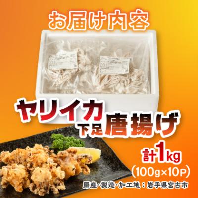 ふるさと納税 宮古市 ヤリイカ下足唐揚げ宮古産100g×10パック(1kg) |  | 03