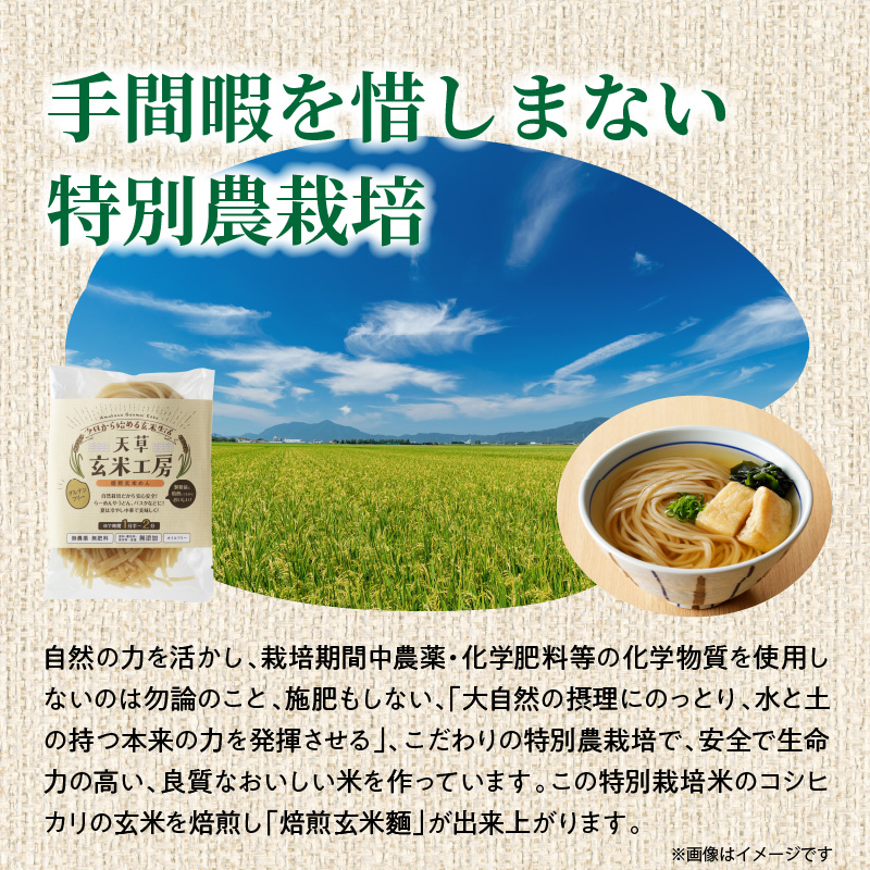 S067-030_自然栽培米からできた焙煎玄米麵（120g×15袋） 1800g