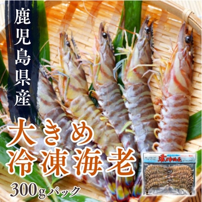 鹿児島県産大きめ冷凍車海老300g【配送不可地域：離島】