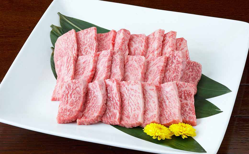 
                  くまもと黒毛和牛 焼き肉用 ロース 600g （300g×2パック） 国産 熊本 和牛 牛肉 牛 焼き肉 焼肉 肉 お肉 冷凍
                