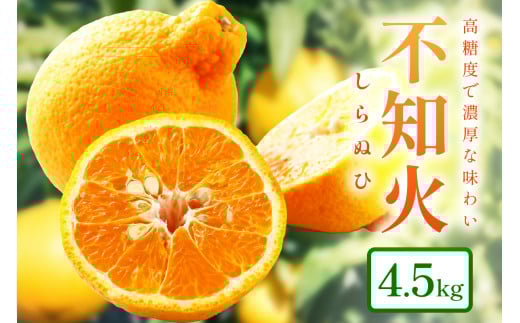 和歌山産 しらぬひ【デコポン】約4.5kg 濃厚春みかん