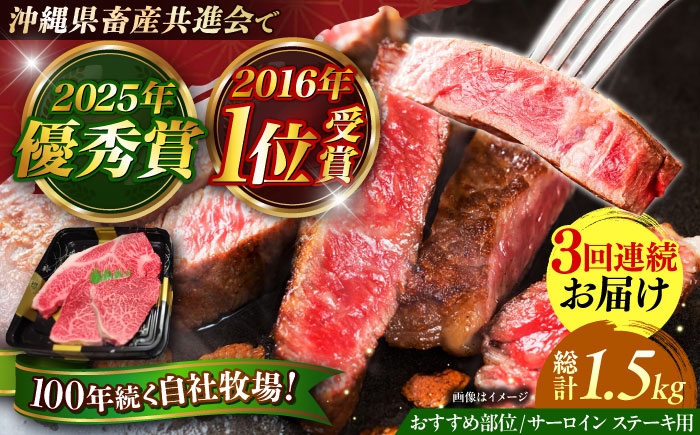 
                  ステーキ サーロイン＆希少部位 佐渡山牛 ステーキ肉 500g 【全3回定期便】 肉のサブロー [BCBC014]牛肉 お肉 肉 にく おにく 和牛 沖縄県産和牛 サーロインステーキ さーろいんすてーき サーロイン ステーキ さーろいん すてーき ステーキ肉 すてーき肉 牛 ウシ うし 黒毛和牛 Steak ビーフ Beef 国産 ブランド 和牛 焼肉 焼き肉 BBQ バーベキュー 沖縄県 沖縄市
                