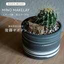 【ふるさと納税】多治見市×春日井市コラボ【美濃焼】 MINO MAKELAY Lサイズ 鉢 黒土マーブル × 【日本有数のサボテンの生産地】 春日井市の名店 後藤サボテン 【井澤コーポレーション】 [TBP163]