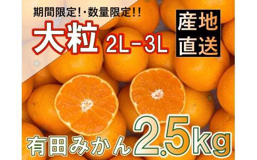 
                  大粒 有田みかん 2.5kg 和歌山県産 ～2L~3L厳選・たっぷり～
                