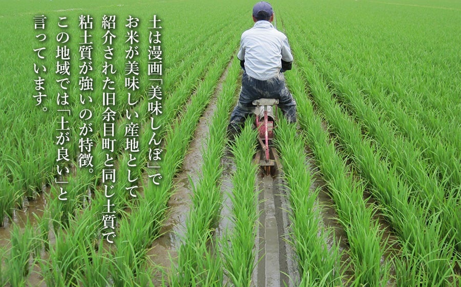 【令和7年産】【新米】 特別栽培米 つや姫（タニシ米）精米10kg（5kg×2袋）　山形県鶴岡産　アベ・アグリ米