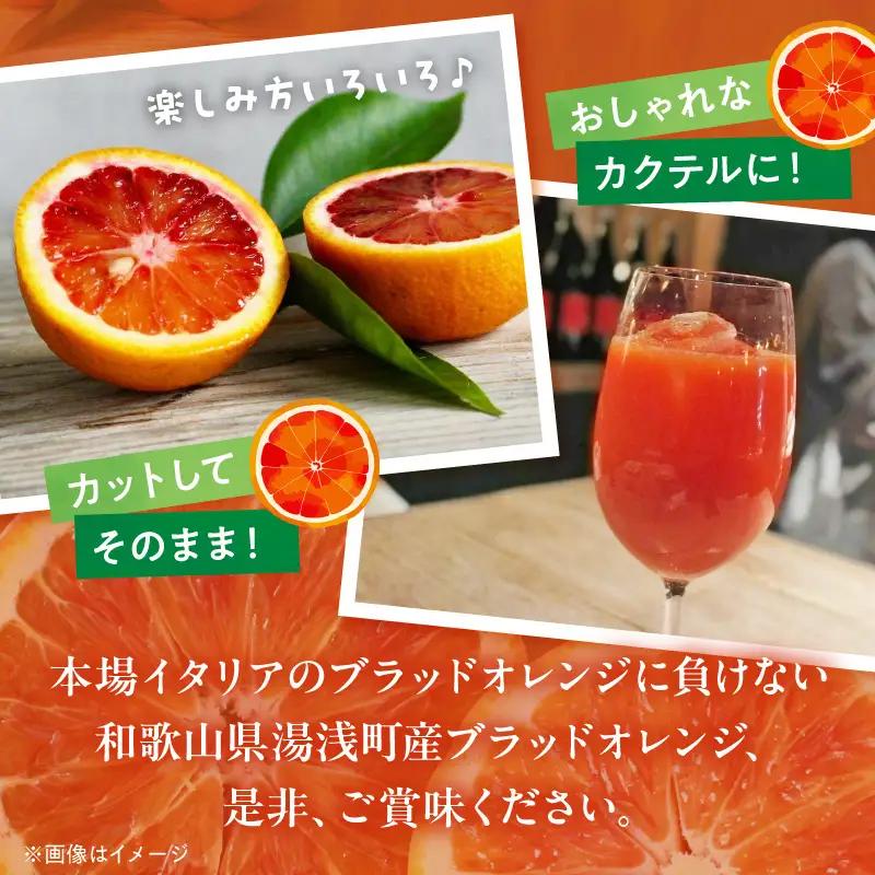 【直営限定】《先行予約・2026年3月～発送》希少柑橘 ご家庭用 ブラッドオレンジ　サイズ混合/ご家庭用/1kg(傷み補償200g)_AB7374_Y