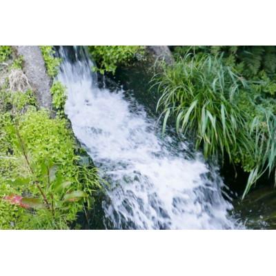 ふるさと納税 南魚沼市 【毎月定期便】山本家 南魚沼産コシヒカリ 精米 2kg【従来品種】全12回 |  | 02