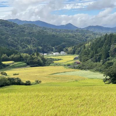ふるさと納税 松江市 【毎月定期便】プレミアム仁多米(なおらい米)真空パック 2kg×3袋(松江市)全6回 |  | 03