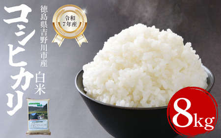 米 白米 8kg （2kg × 4袋 ）コシヒカリ 令和7年度産 米 米 米