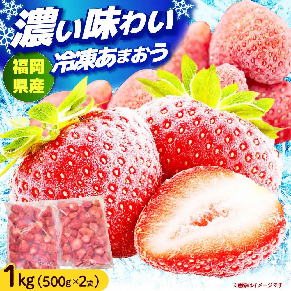 いちご 福岡産 1kg いちご [ABET001] あまおう 果物