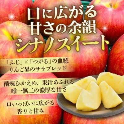 【26年11月から順次発送】青森県産 りんご シナノスイート 約5kg おもてなし用【配送不可地域：沖縄県】