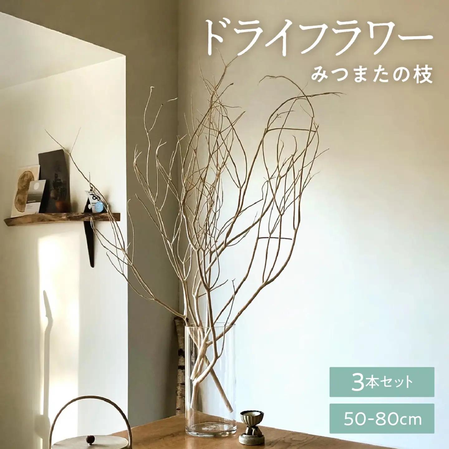 TSUKIGI みつまた 50cm～80cm 【 白枝 インテリア オブジェ 3本セット 枝 白 モダン おしゃれ ドライフラワー ナチュラル アロマブランチ 天然 国産 槻木 多良木町 】 048-0586