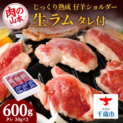 ふるさと納税 千歳市 生ラム (冷凍)タレ付 600g<肉の山本>