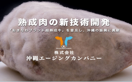 おきなわブランド【超熟成牛】と琉球在来【アグー豚】セット