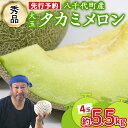 【ふるさと納税】【 先行予約 2025年 6月上旬 以降発送】 タカミメロン 秀品 2玉～4玉 【 選べる 玉数 】期間限定 産地直送 果物 フルーツ メロン 甘い 人気 タカミ 貴味