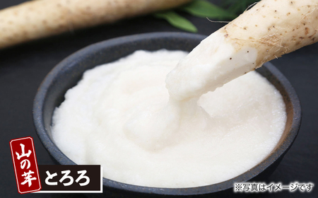 【全3回定期便】山の芋3種セット[APAD006] 冷凍食品 おかず 惣菜