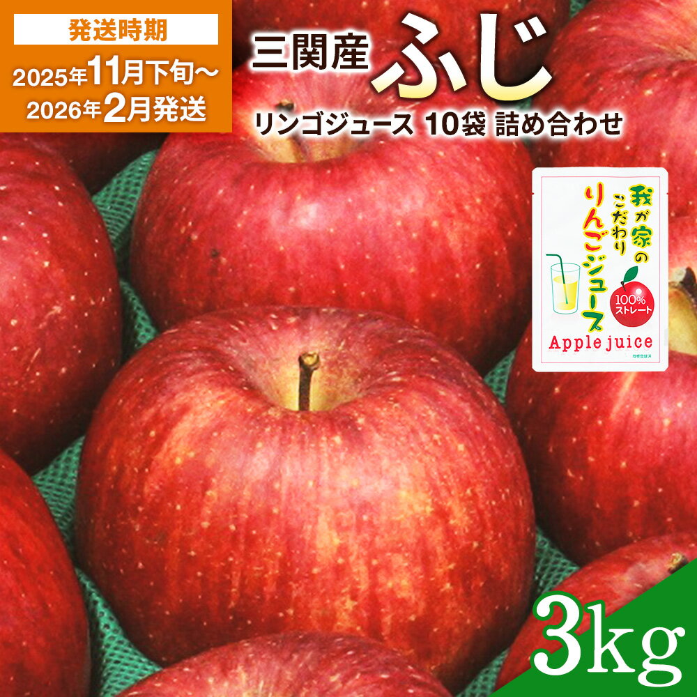 【ふるさと納税】【2025年11月下旬〜2026年2月発送】三関産 りんご 3kg (サンふじ)＋ りんごジュース 10袋 詰め合わせ 三関 濃厚 で ジューシー な ふじりんご と 100% 無添加 ジュース セット ふるさと納税 りんご 旬 果物 フルーツ 秋田県【三関ゆめ蔵ぶ直売所】[B3-2607]