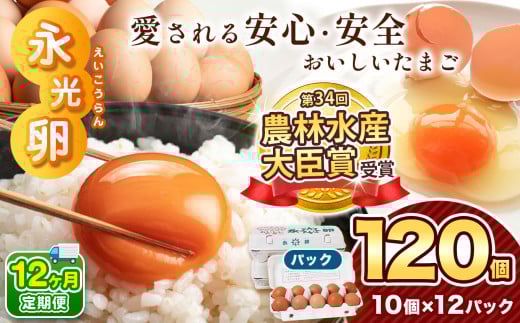 【 定期便 12回 】2週間以内に発送 メディア 紹介多数！ おいしいたまご 永光卵 120個 | えいこうらん 光永ファーム 卵 たまご 定期便 定期 12回 ゆで卵 プリン オムライス 君津市産 千葉 君津 きみつ