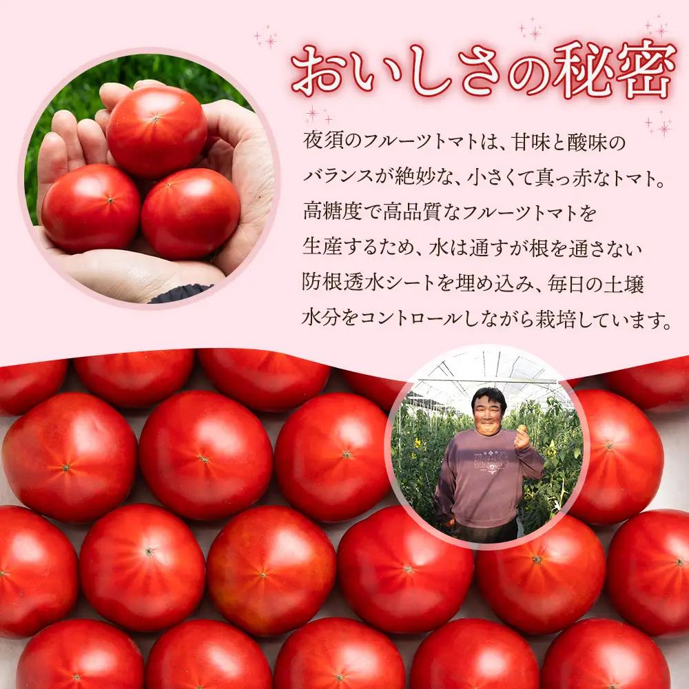 フルーツトマト 2kg ギフト箱《1月下旬-5月中旬頃出荷》トマト  yu-0072