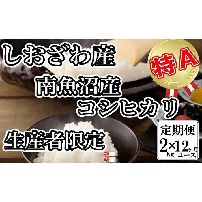 【令和7年産】【定期便：２Kg×12ヶ月】生産者限定 契約栽培 南魚沼しおざわ産コシヒカリ【定期便 銘柄米 ブランド米 精米 こしひかり コシヒカリ 魚沼産 新潟米 産地直送 お米 米 こめ コメ ご飯 御飯 ごはん】