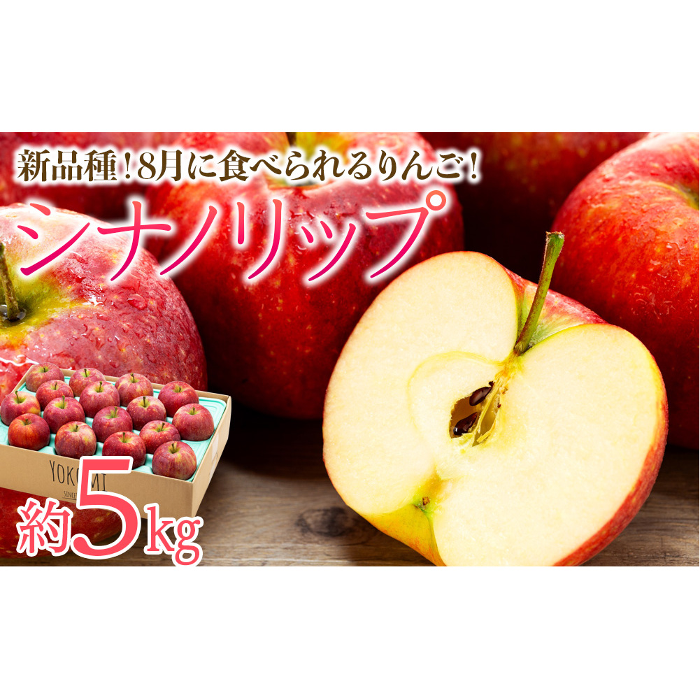  りんご シナノリップ 約5kg 2025年 令和7年度発送分 リンゴ 林檎 長野 フルーツ 果物 信州産 長野県産 特産 産地直送 おすすめ