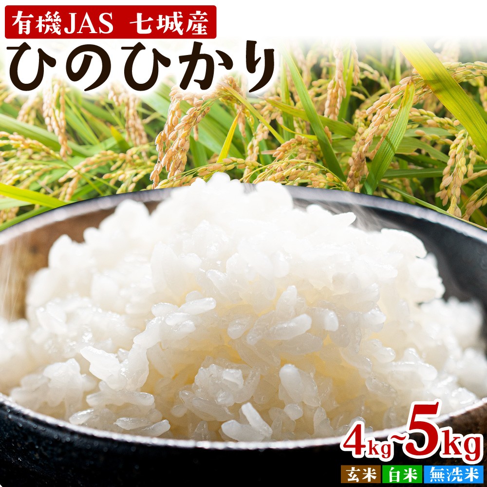 
                  令和7年産 有機JAS 七城産ひのひかり 選べる精米方法 玄米 白米 無洗米 選べる内容量 4kg 5kg 渡辺農産《30日以内に出荷予定(土日祝除く)》熊本県 菊池市 米 お米 精米 ひのひかり 菊池市産 熊本県産 九州産 送料無料
                