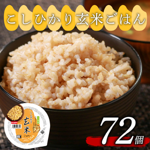 玄米ごはんパック 160g 72個 こしひかり